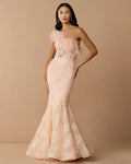 Pink One Shoulder Feather Embellished Mermaid Gown